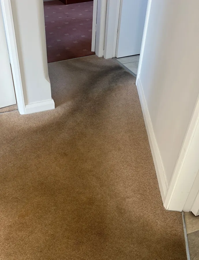 Hallway carpet stain removal before and after in Staffordshire, before professional cleaning