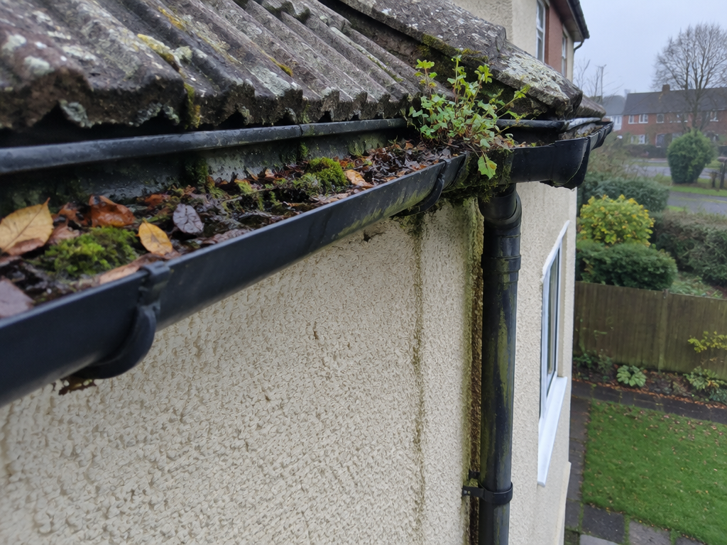 Gutter cleaning comparison 2 in Staffordshire, before professional cleaning